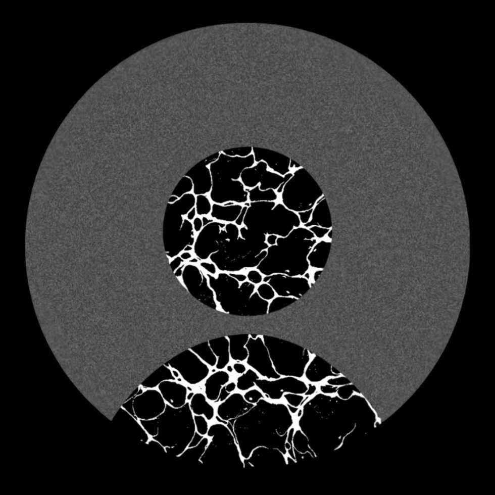 16652901378
